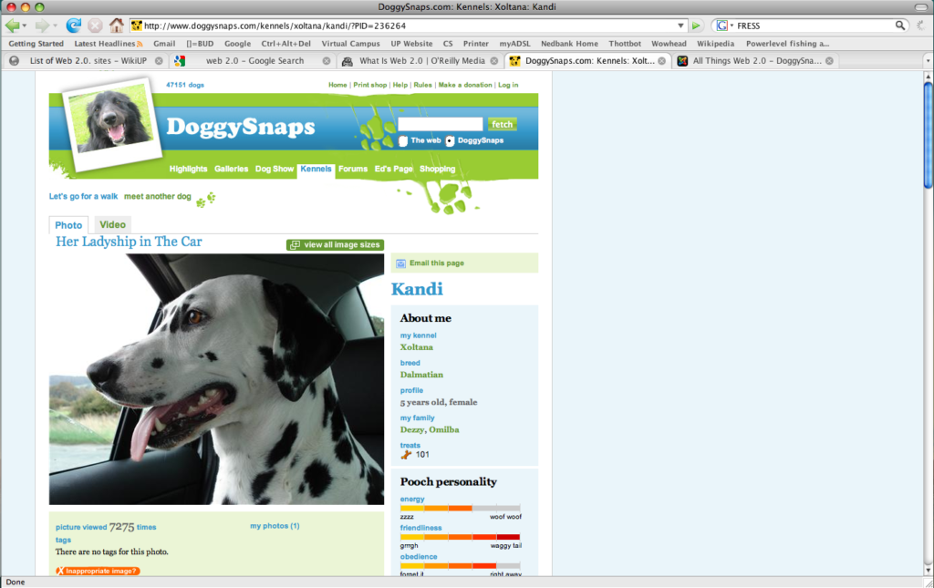 DoggySnaps.com: the tail ‘tagging’ the dog